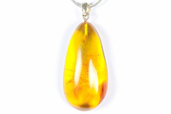 Polished Baltic Amber Pendant (Necklace) - Contains Fly! #368914